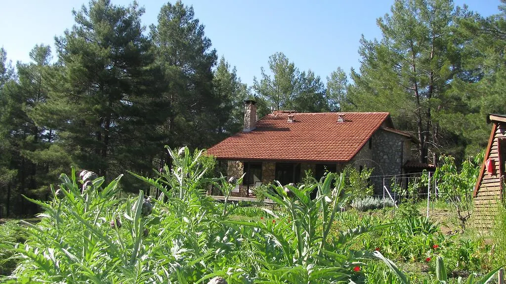 בית כפרי Uzumlu  Dikencik Cottages